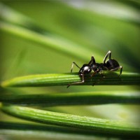 /album/iris-van-vlijmen-badminton/photolia-a05-jpg/